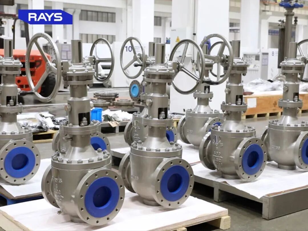 RAYS Completes Orbital Ball Valve